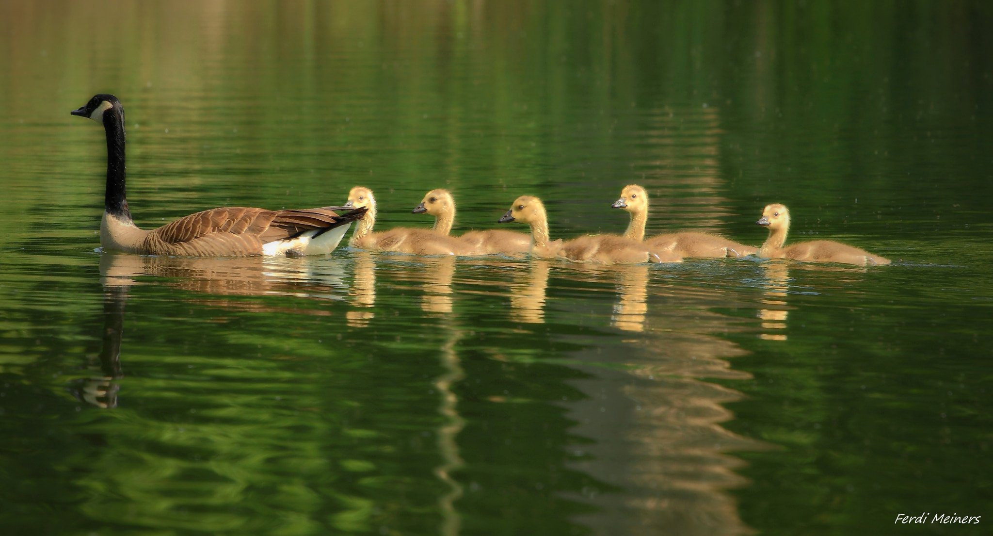 Canon EOS 60D sample photo. In reih und glied photography
