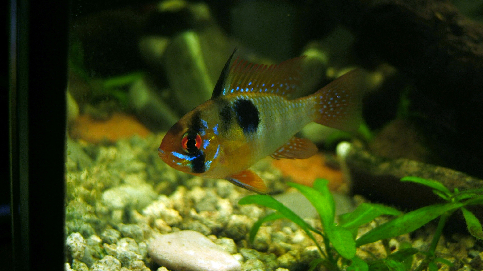 Fujifilm FinePix F810 sample photo. () photography