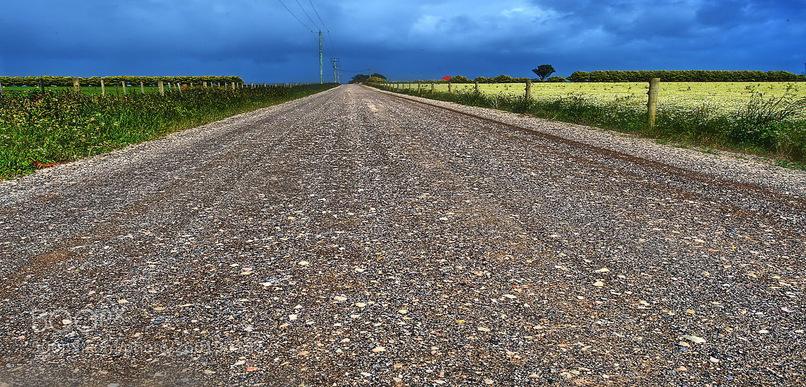 Nikon D700 sample photo. The road photography