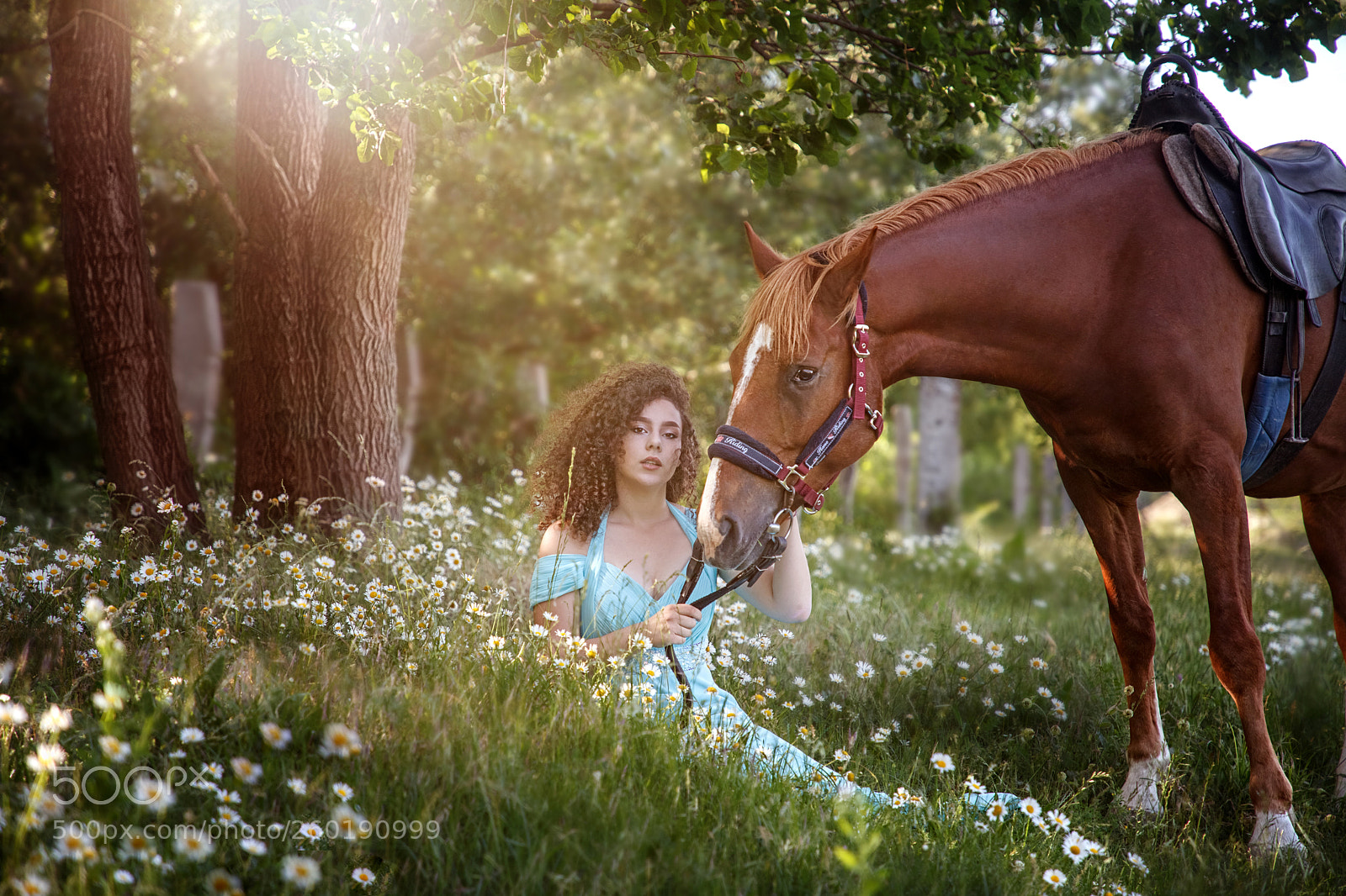 Canon EOS 5D Mark II sample photo. Img photography