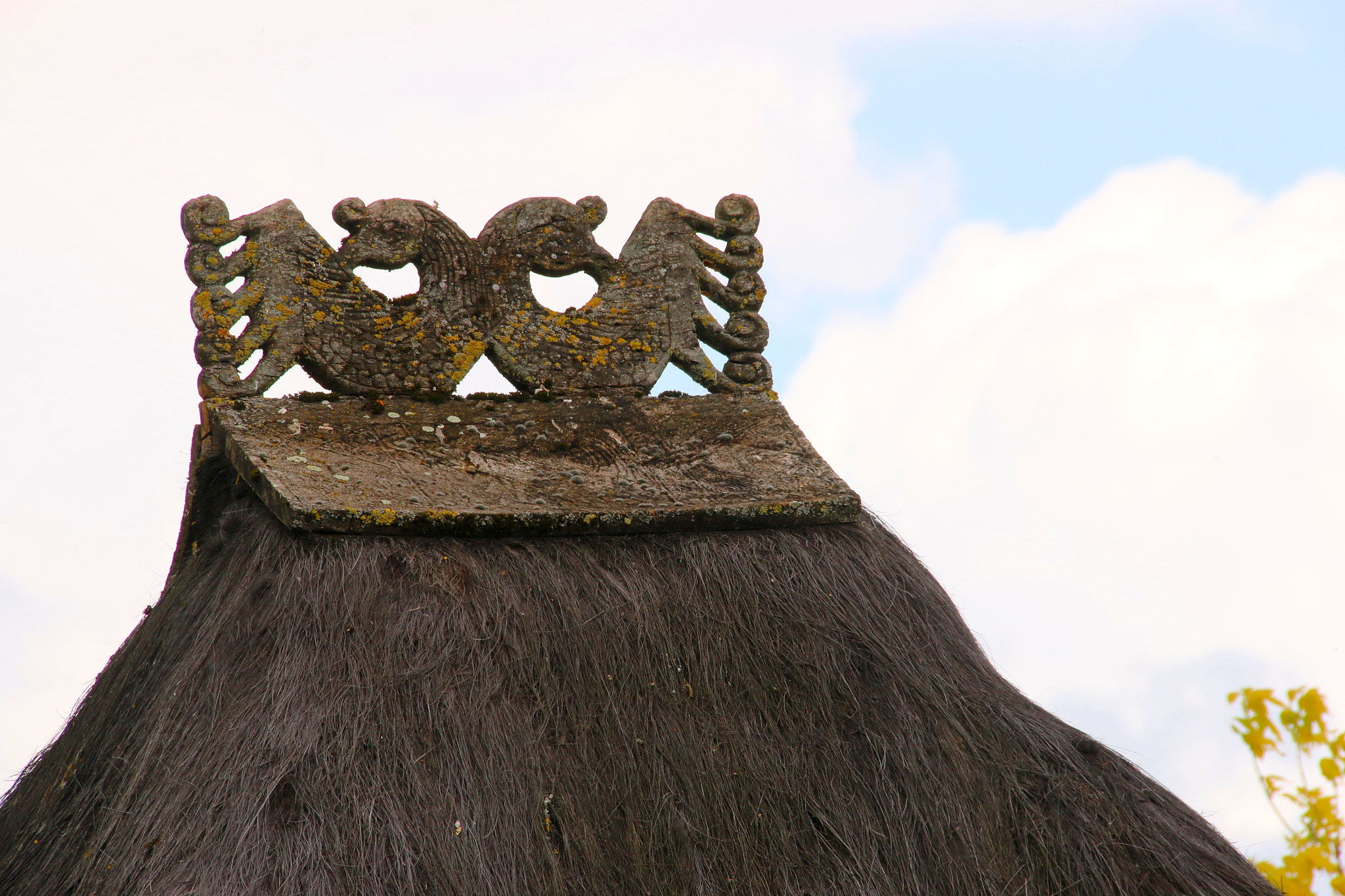 Canon EF 75-300mm F4.0-5.6 IS USM sample photo. Pairi daiza photography