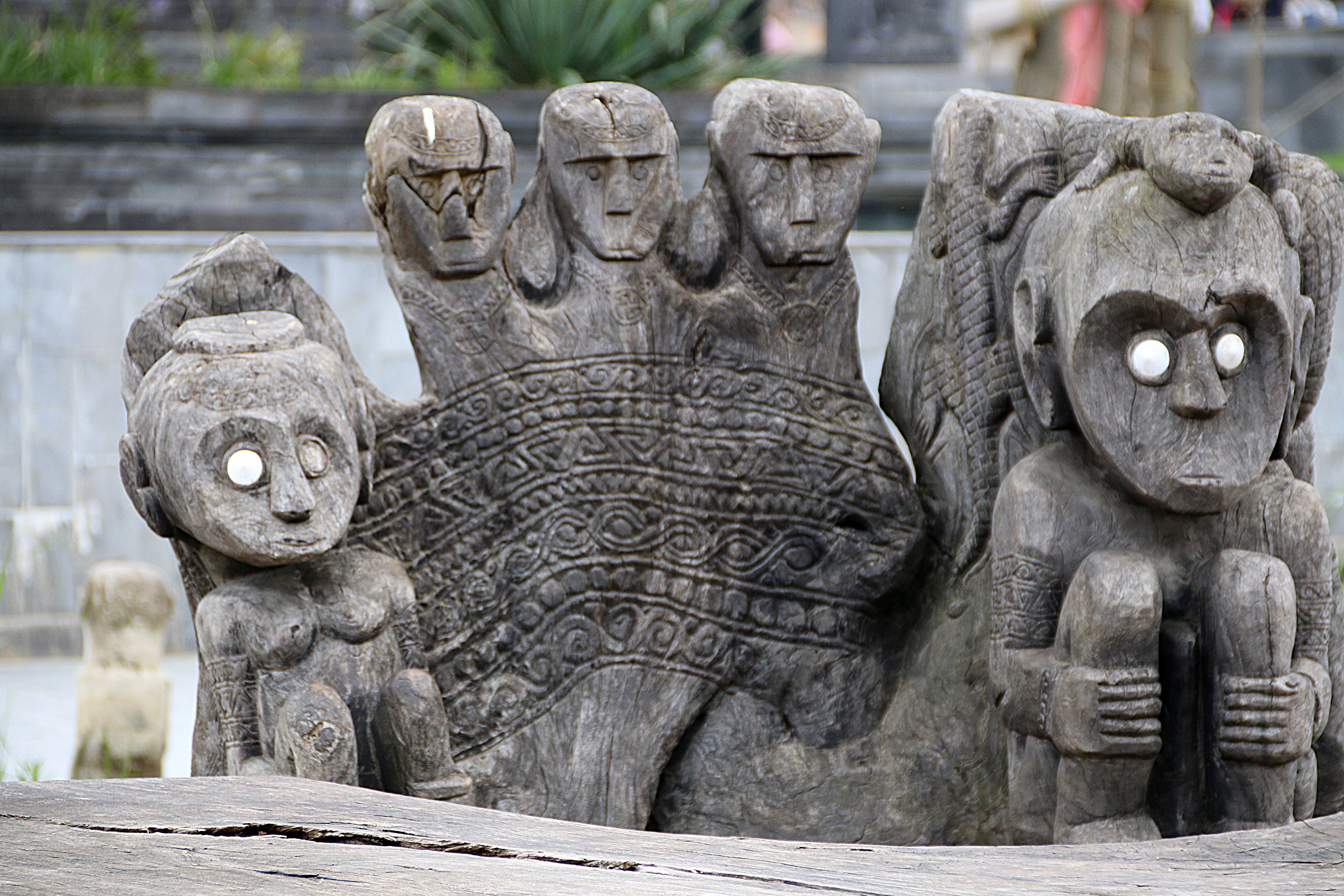 Canon EF 75-300mm F4.0-5.6 IS USM sample photo. Pairi daiza photography
