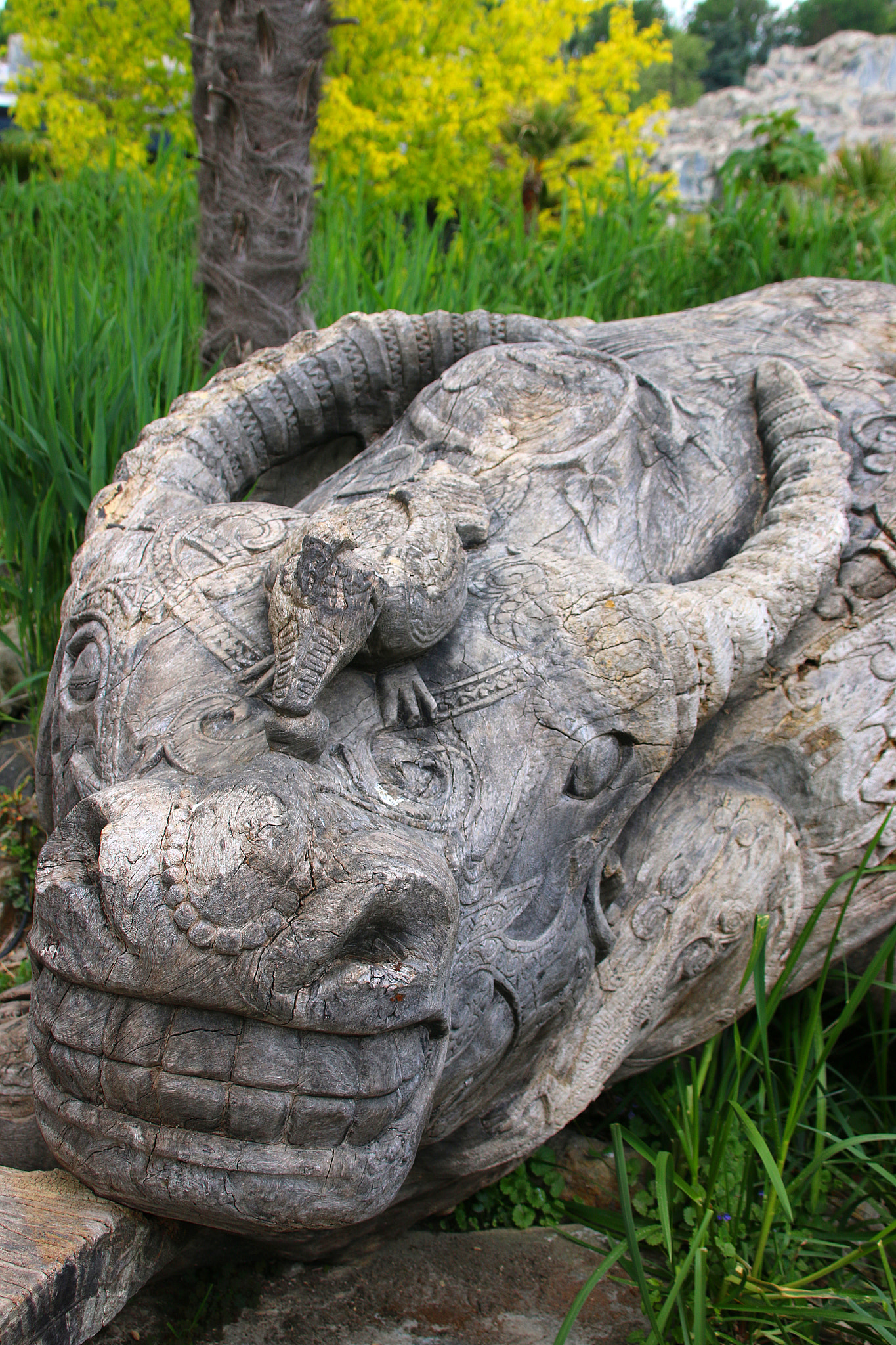 Canon EF 75-300mm F4.0-5.6 IS USM sample photo. Pairi daiza photography