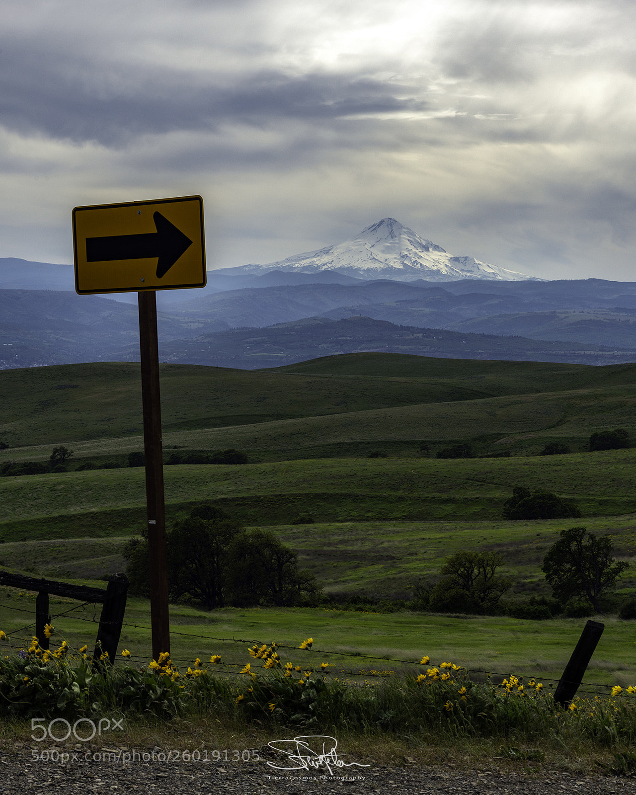 Sony a7R II sample photo. Oh, there it is! photography