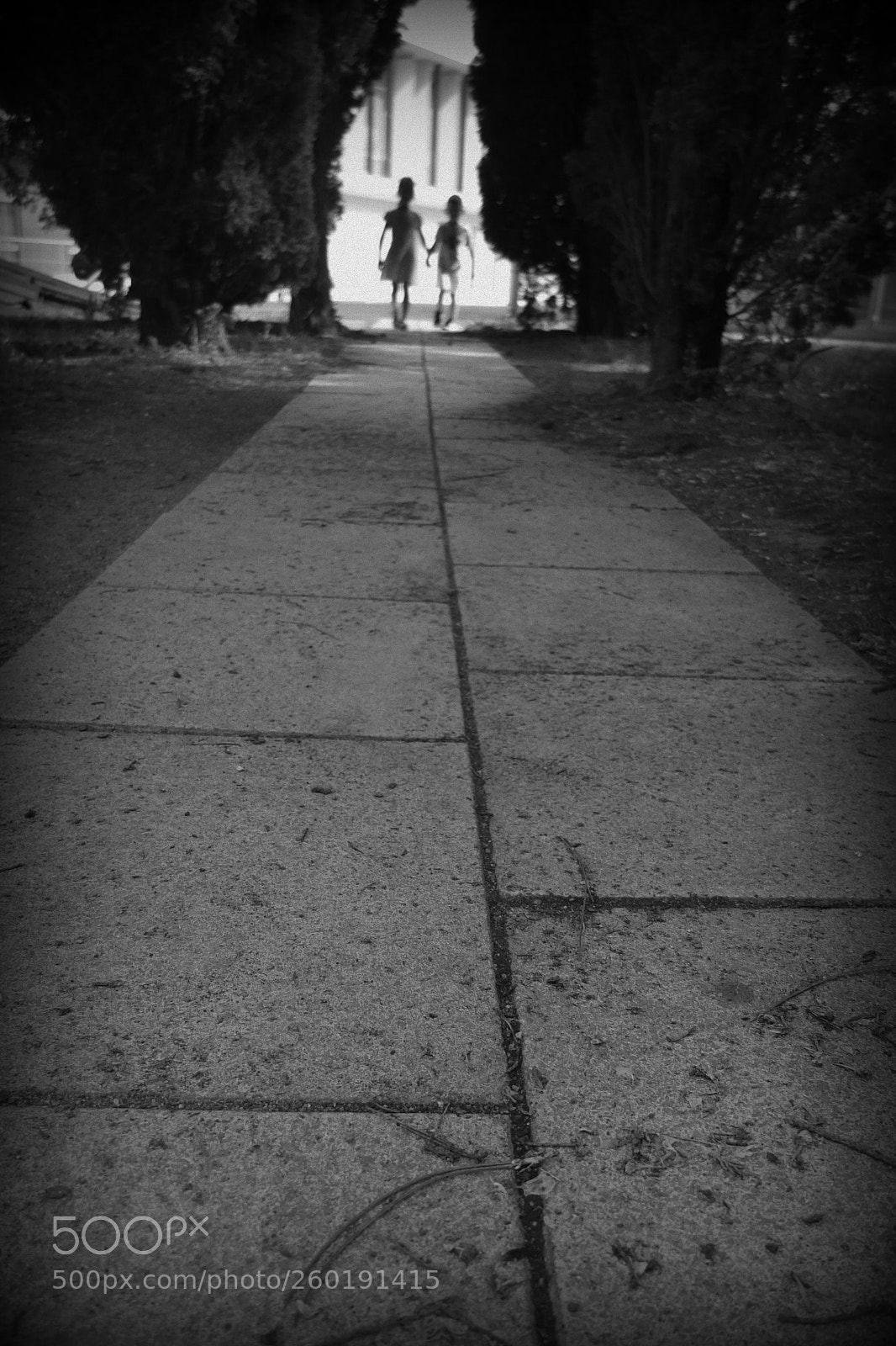 Fujifilm X10 sample photo. They come photography