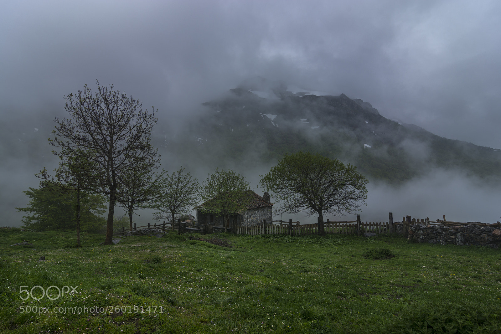 Nikon D7100 sample photo. Lift the fog photography