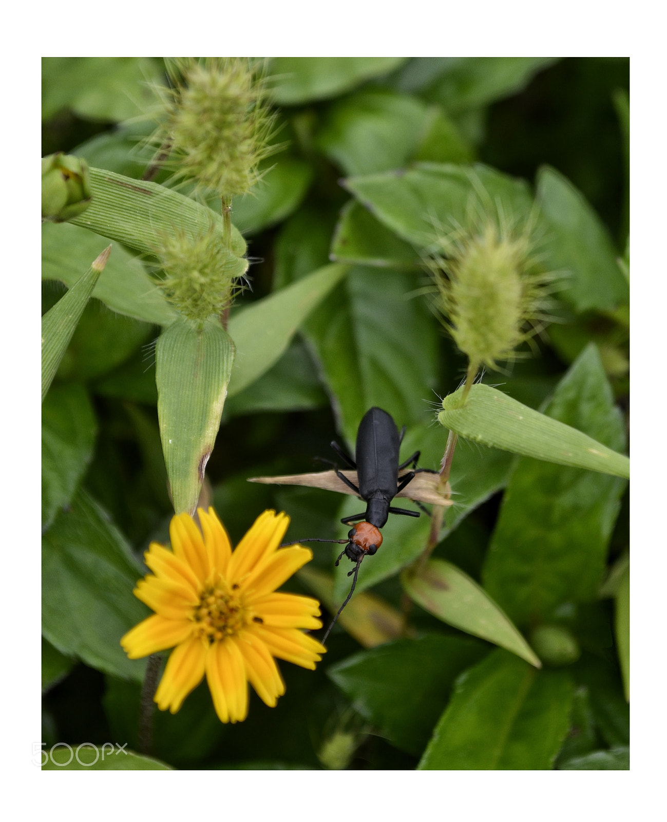 Nikon D5100 sample photo. The relationship photography
