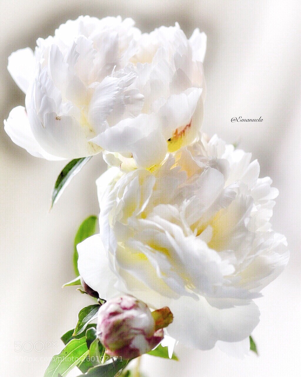 Nikon D7200 sample photo. So pure photography
