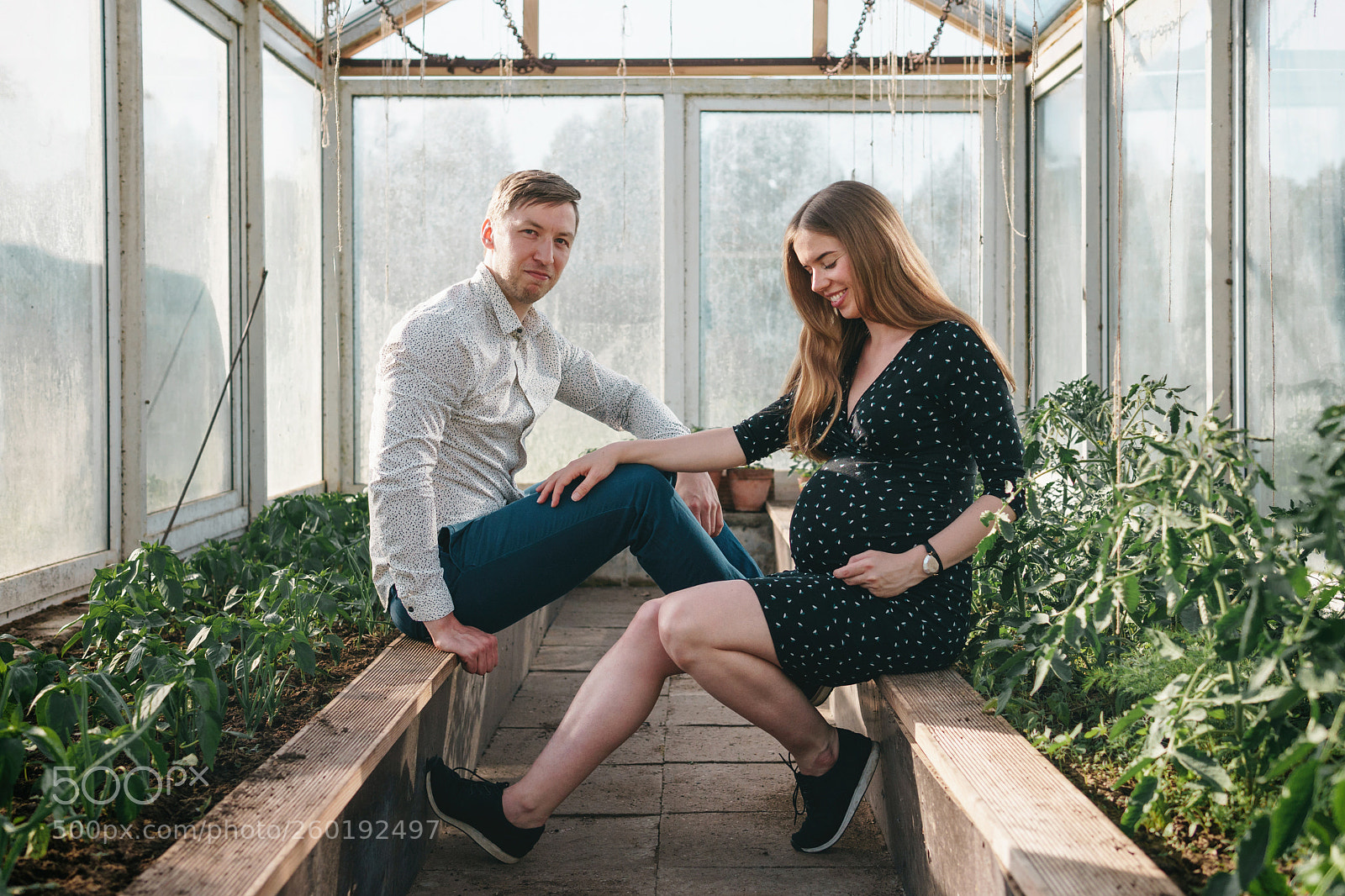 Sony a6300 sample photo. Greenhouse photography