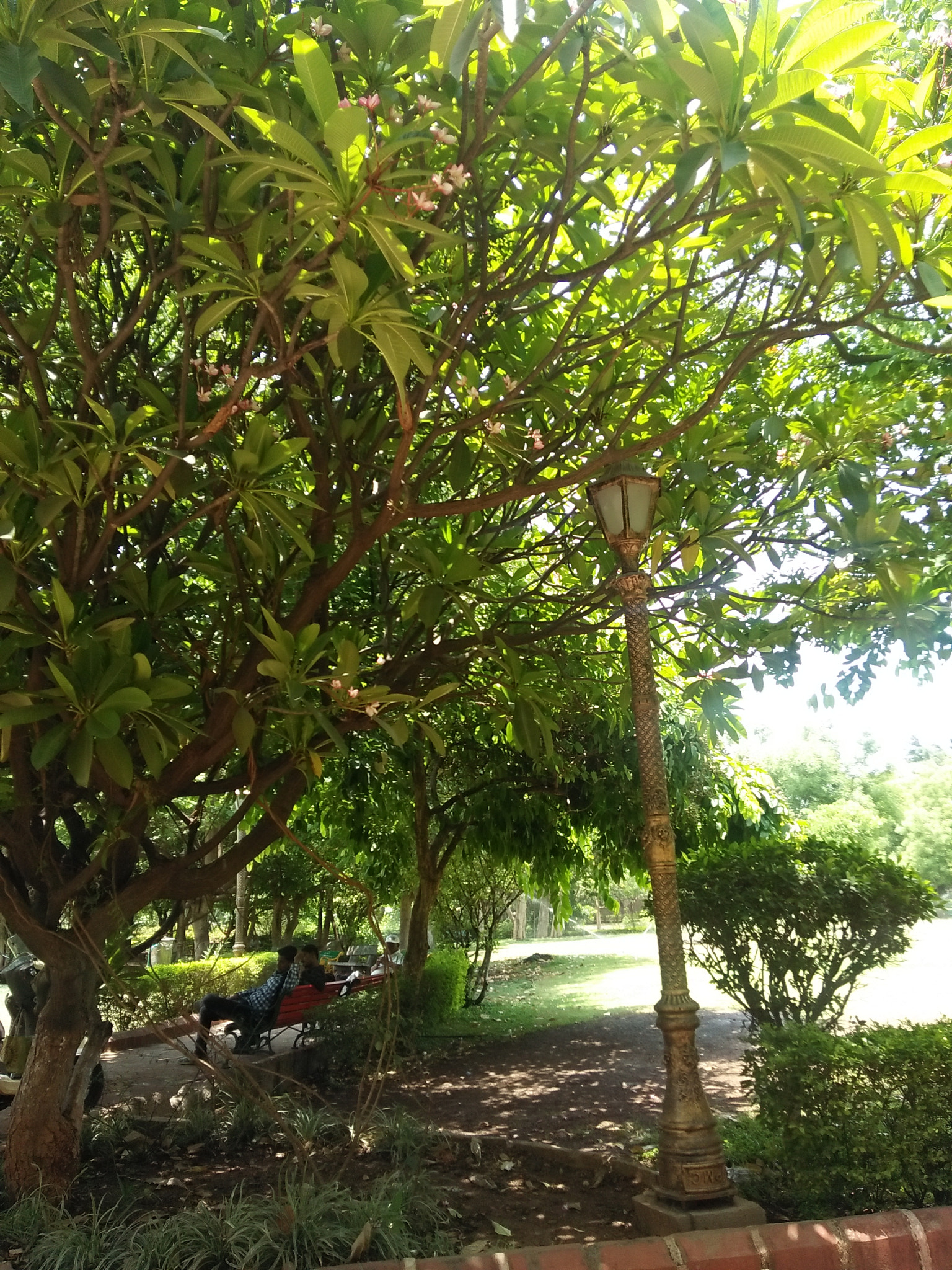 OPPO A37fw-International sample photo