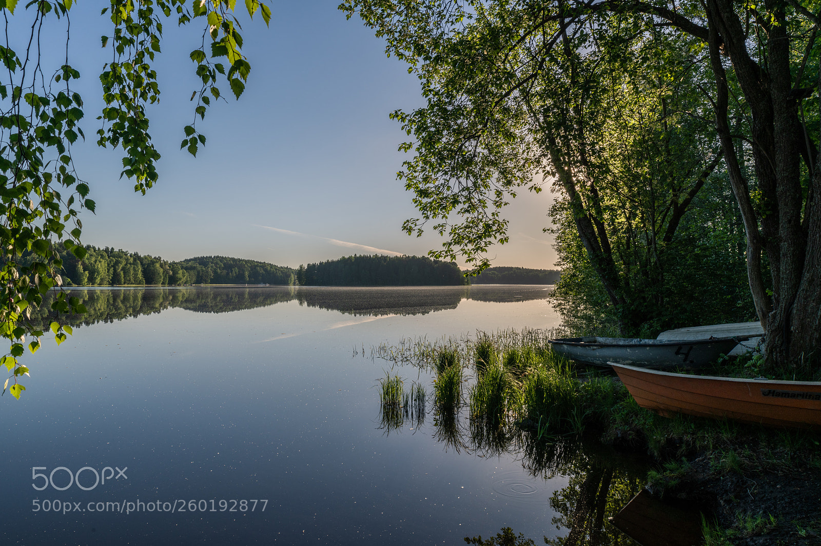 Nikon D850 sample photo. Lake in the morning photography