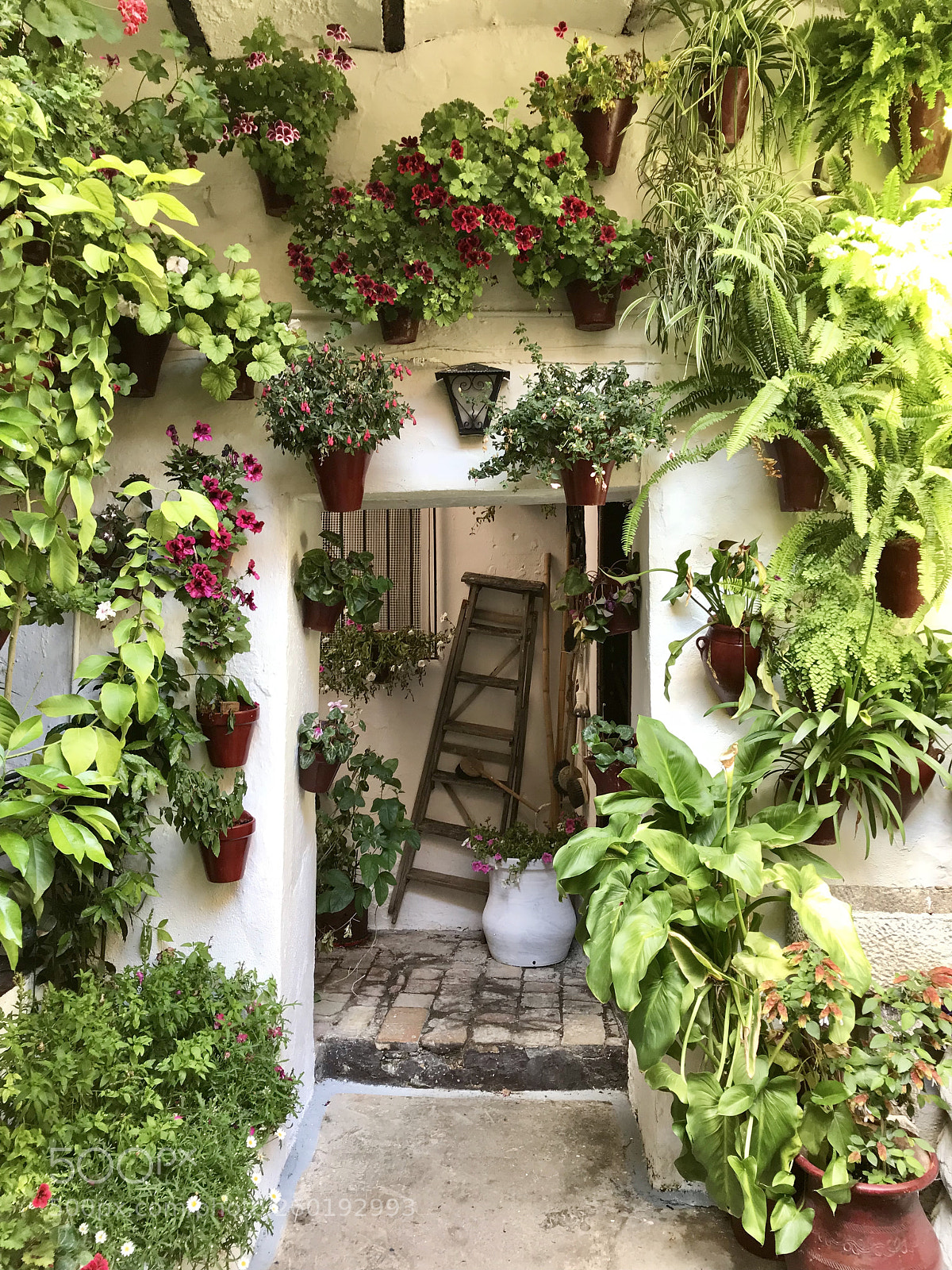 Apple iPhone 7 Plus sample photo. Patios of cordoba photography