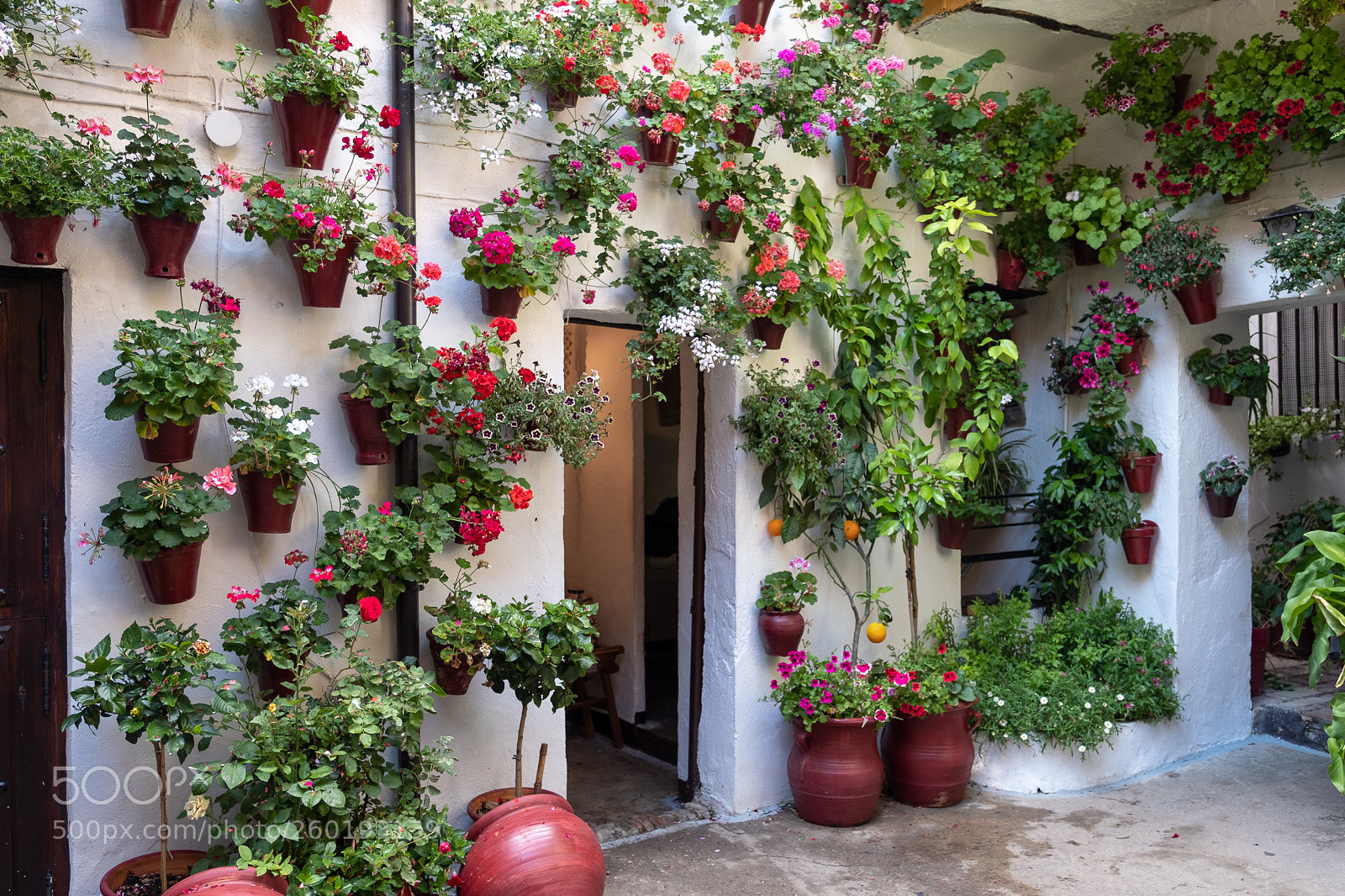 Fujifilm X-T2 sample photo. Patios of cordoba photography
