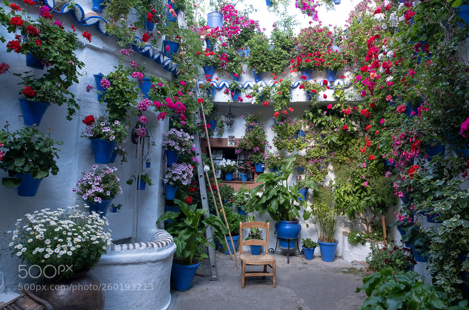 Fujifilm X-T2 sample photo. Patios of cordoba photography