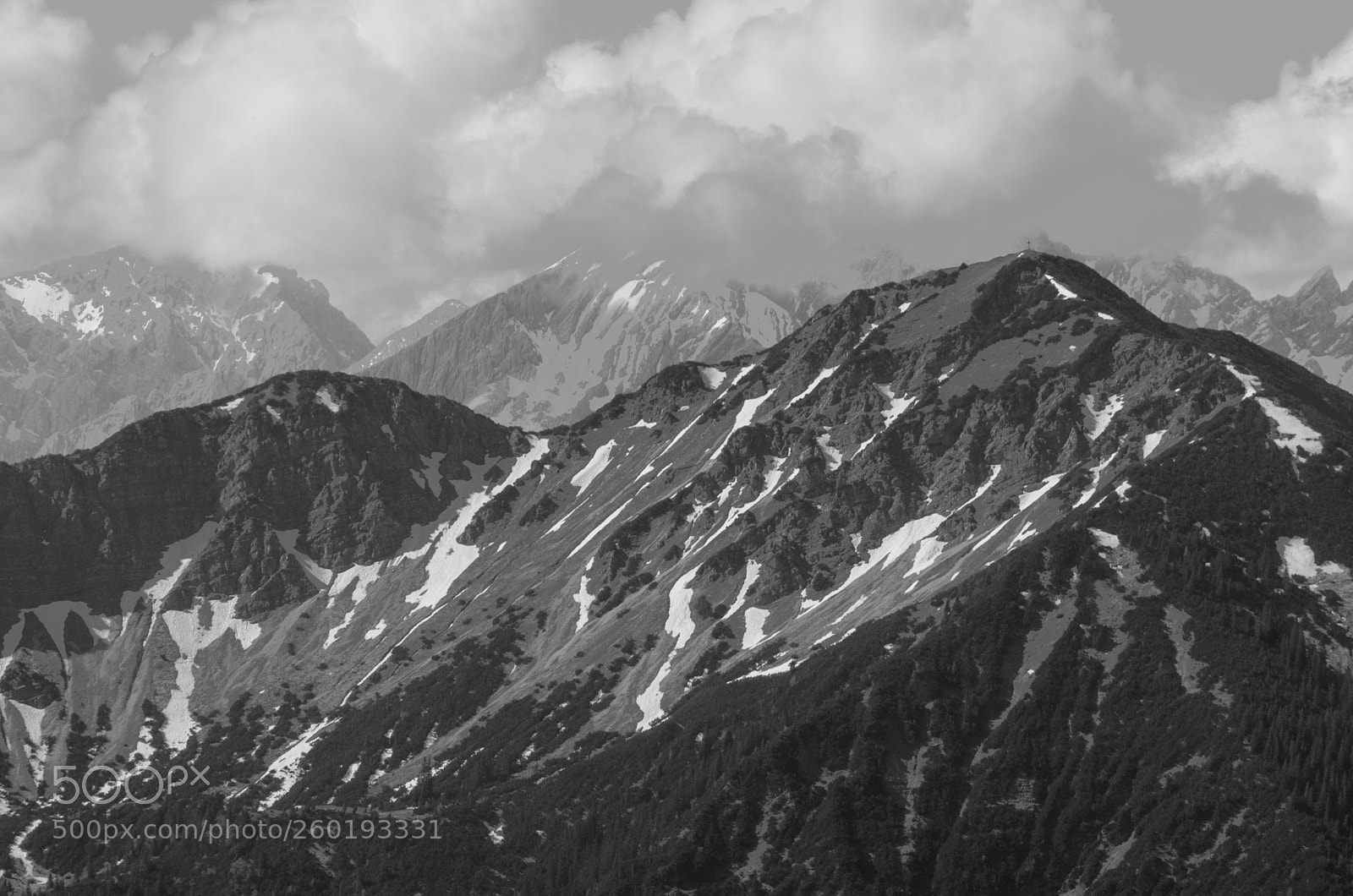 Nikon D7000 sample photo. Black and white giants photography