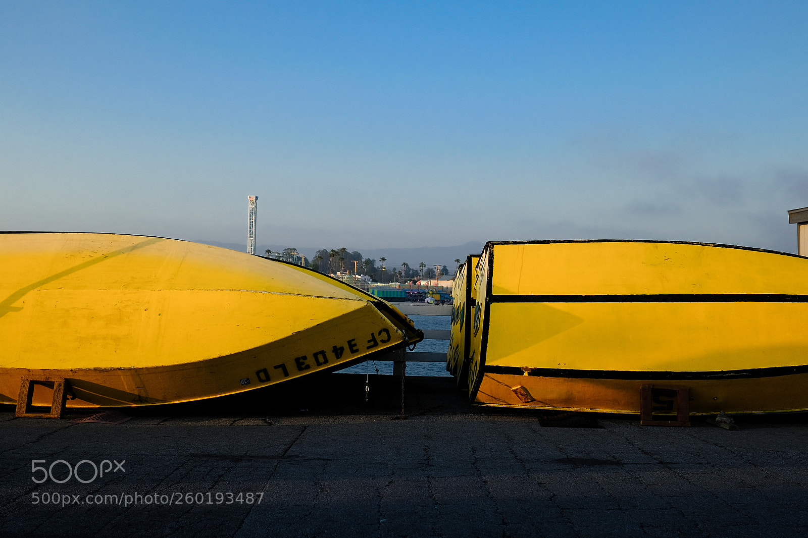 Fujifilm X-Pro2 sample photo. Yellow photography