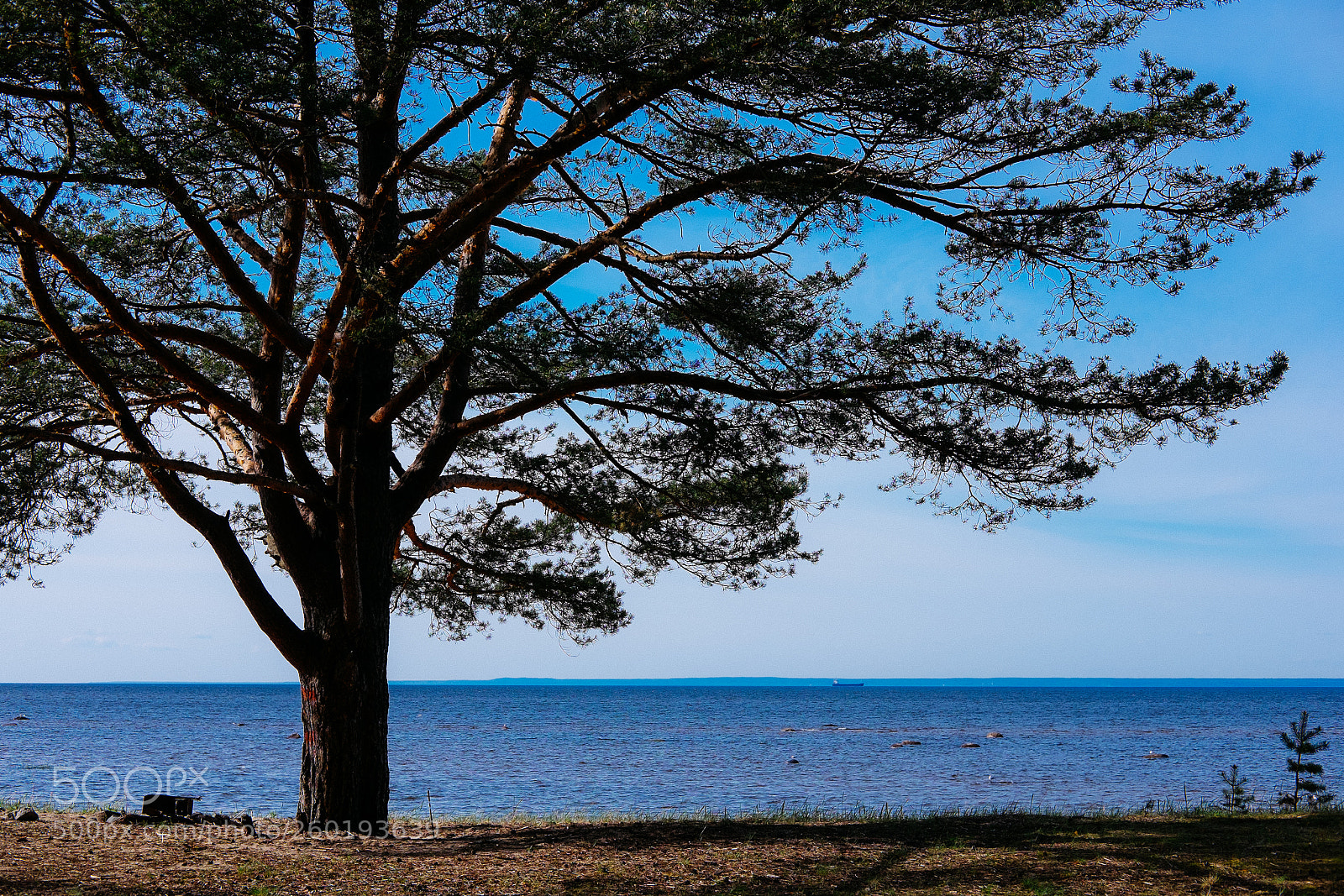 Fujifilm X-T1 sample photo. The gulf of finland photography