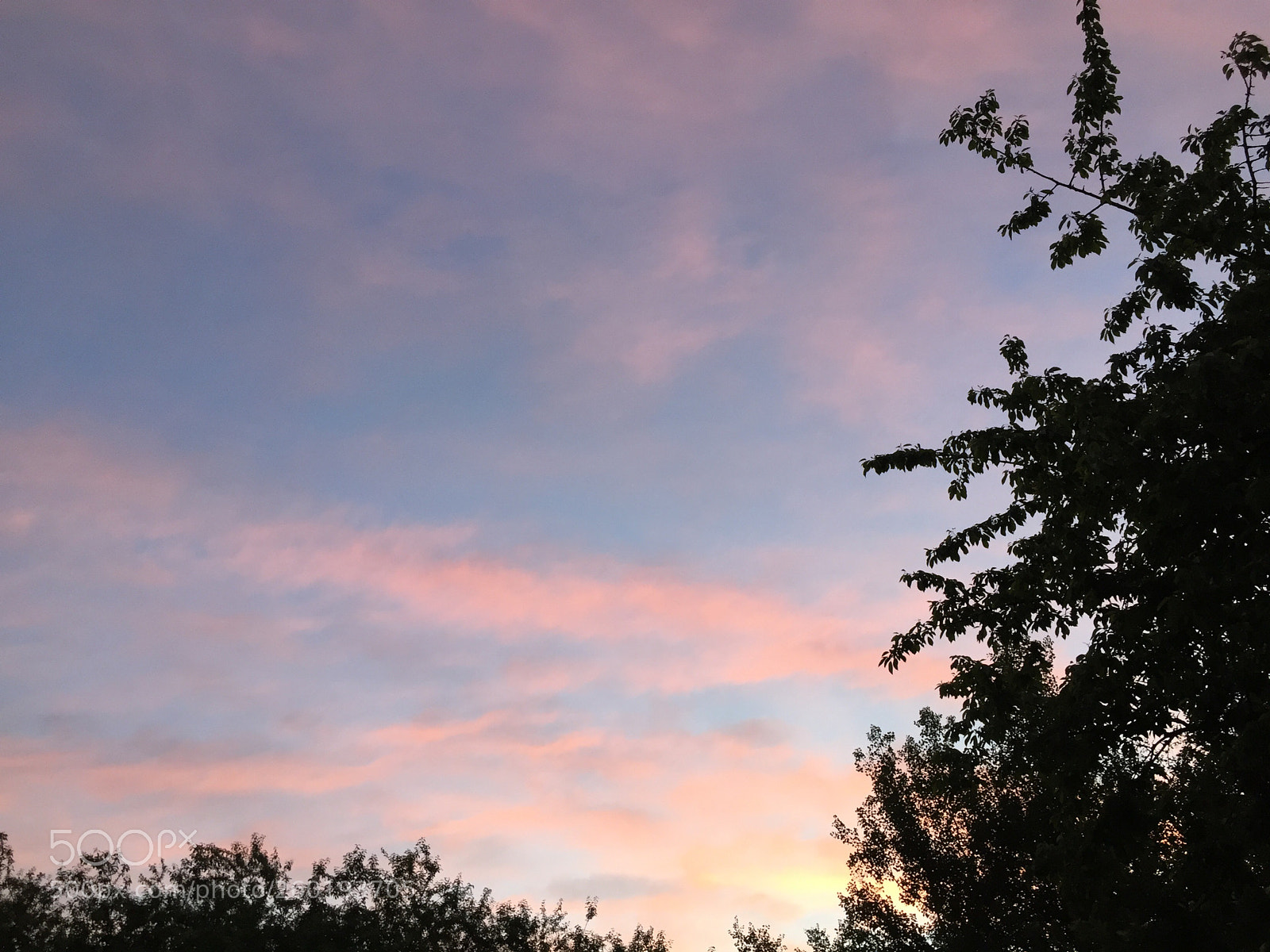 Apple iPhone 6 sample photo. Untitled photography