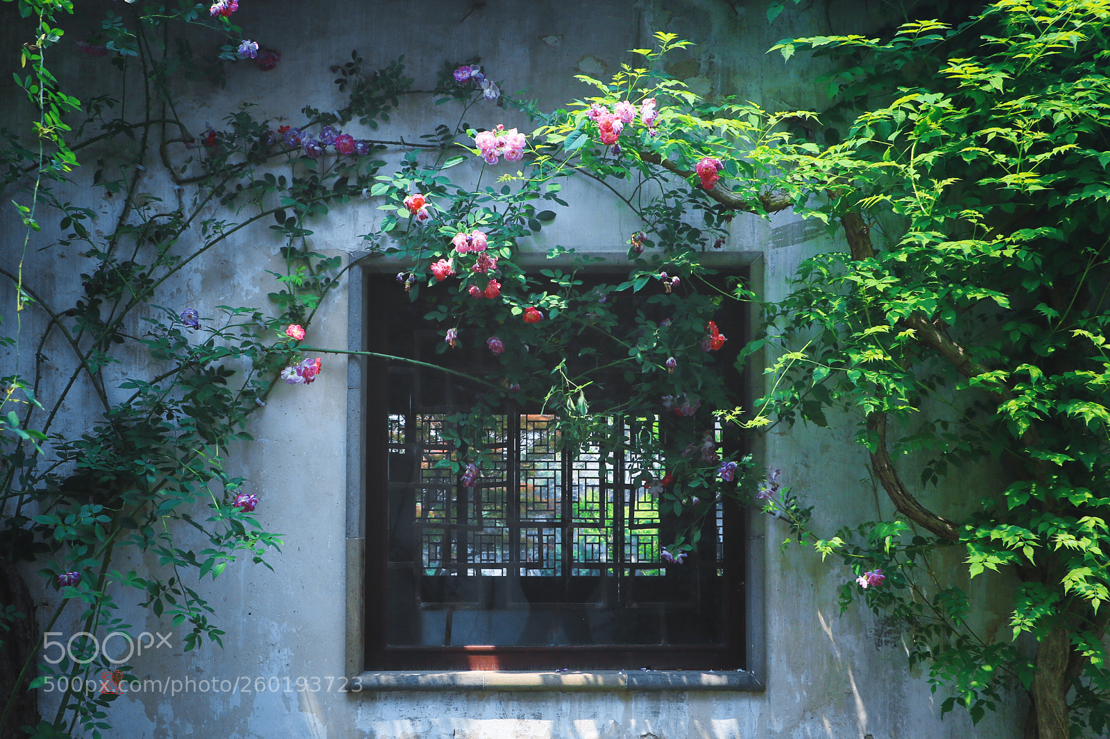 Canon EOS 7D Mark II sample photo. Windows photography