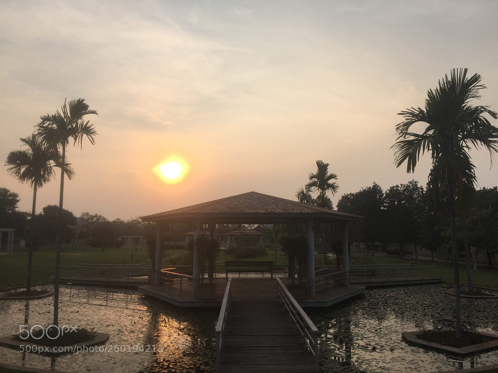 Apple iPhone 6 sample photo. Untitled photography