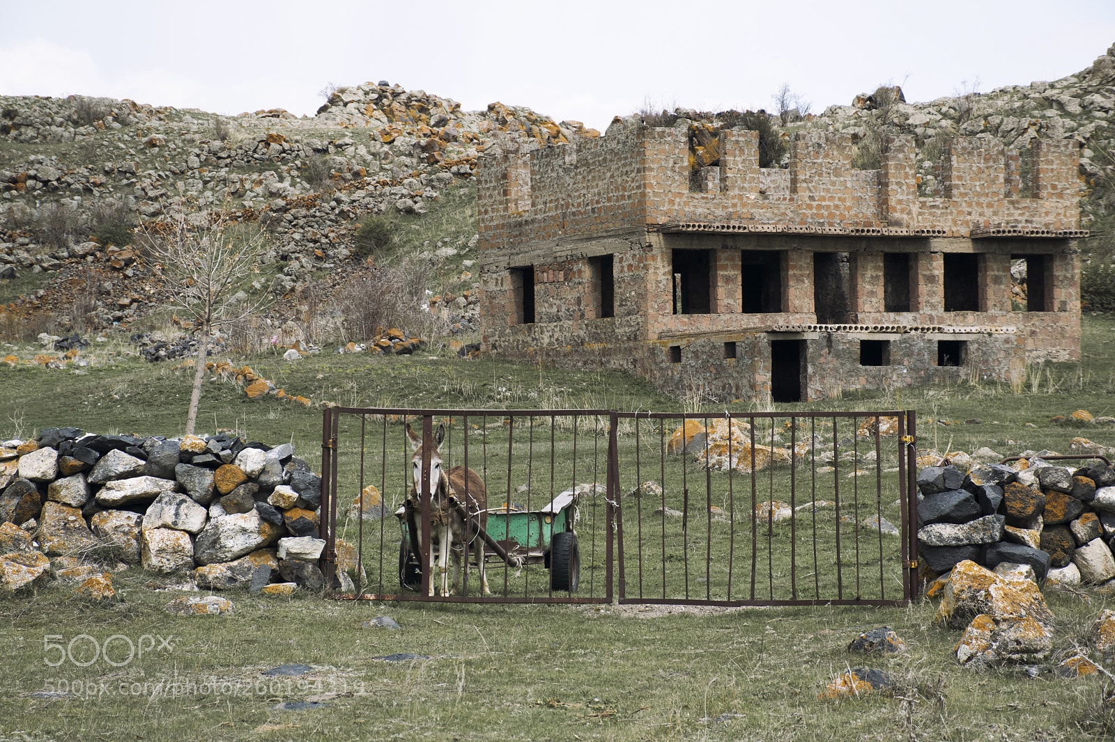 Nikon D3300 sample photo. Ruins photography