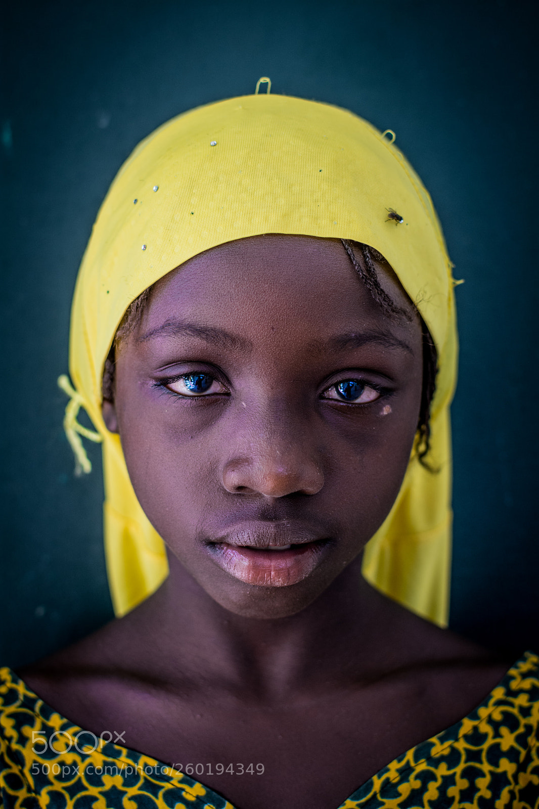 Nikon D7100 sample photo. Yellow photography