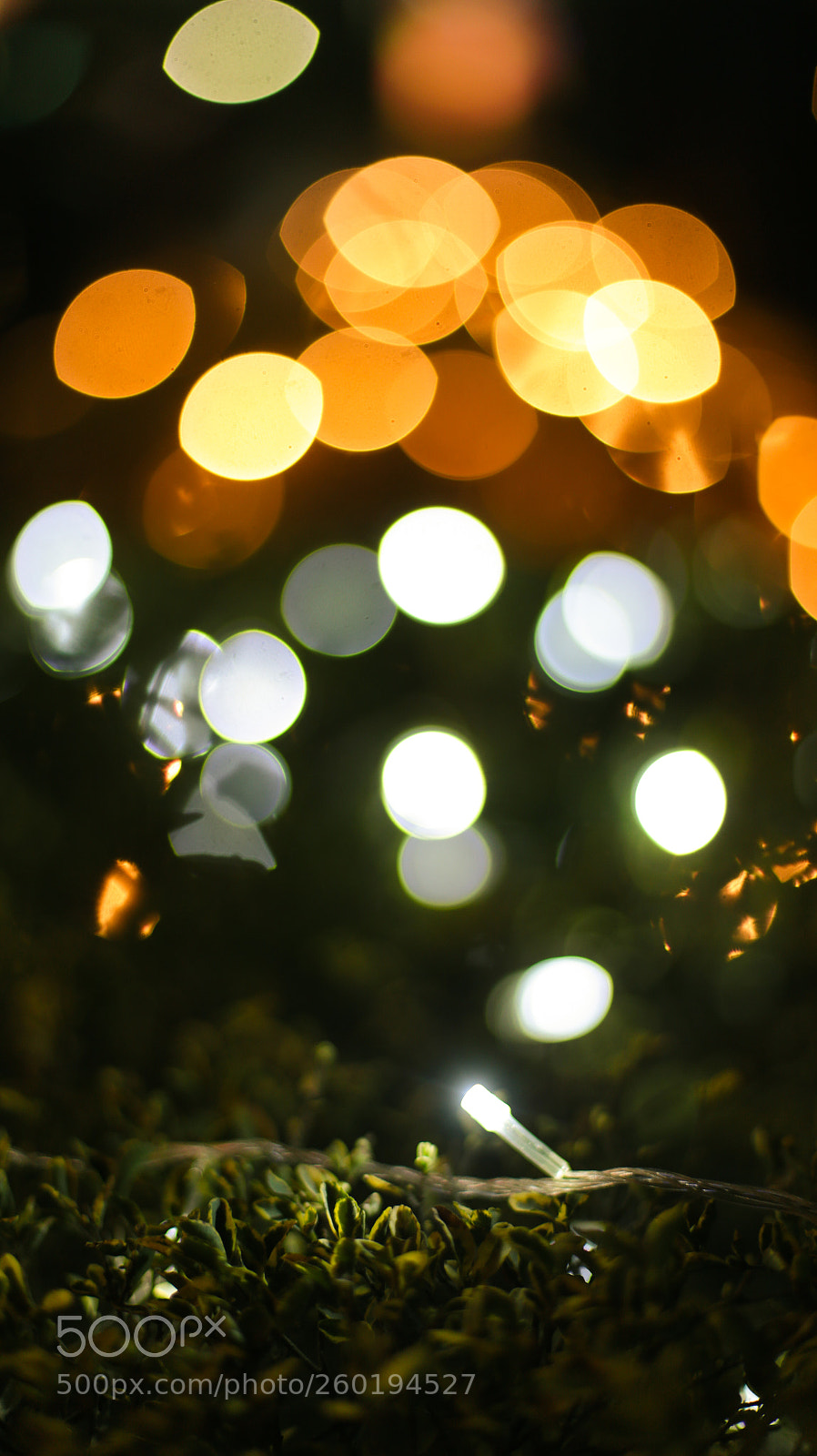 Canon EOS 6D sample photo. Color photography