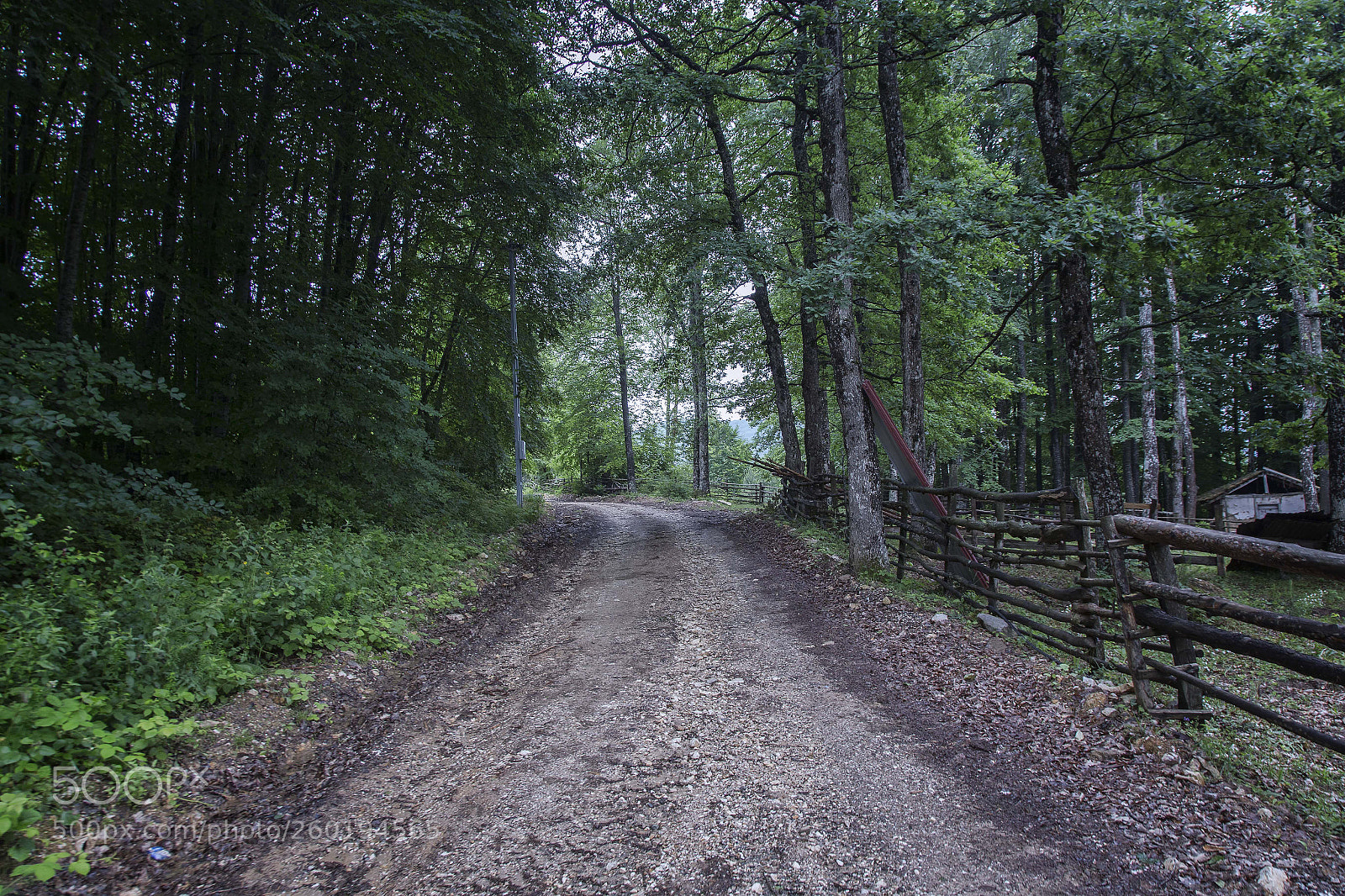 Canon EOS 6D sample photo. Img photography