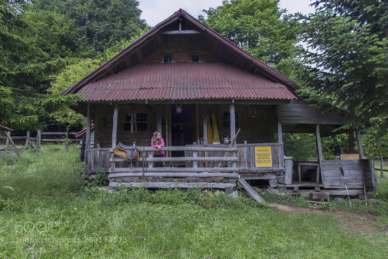 Canon EOS 6D sample photo. Img photography