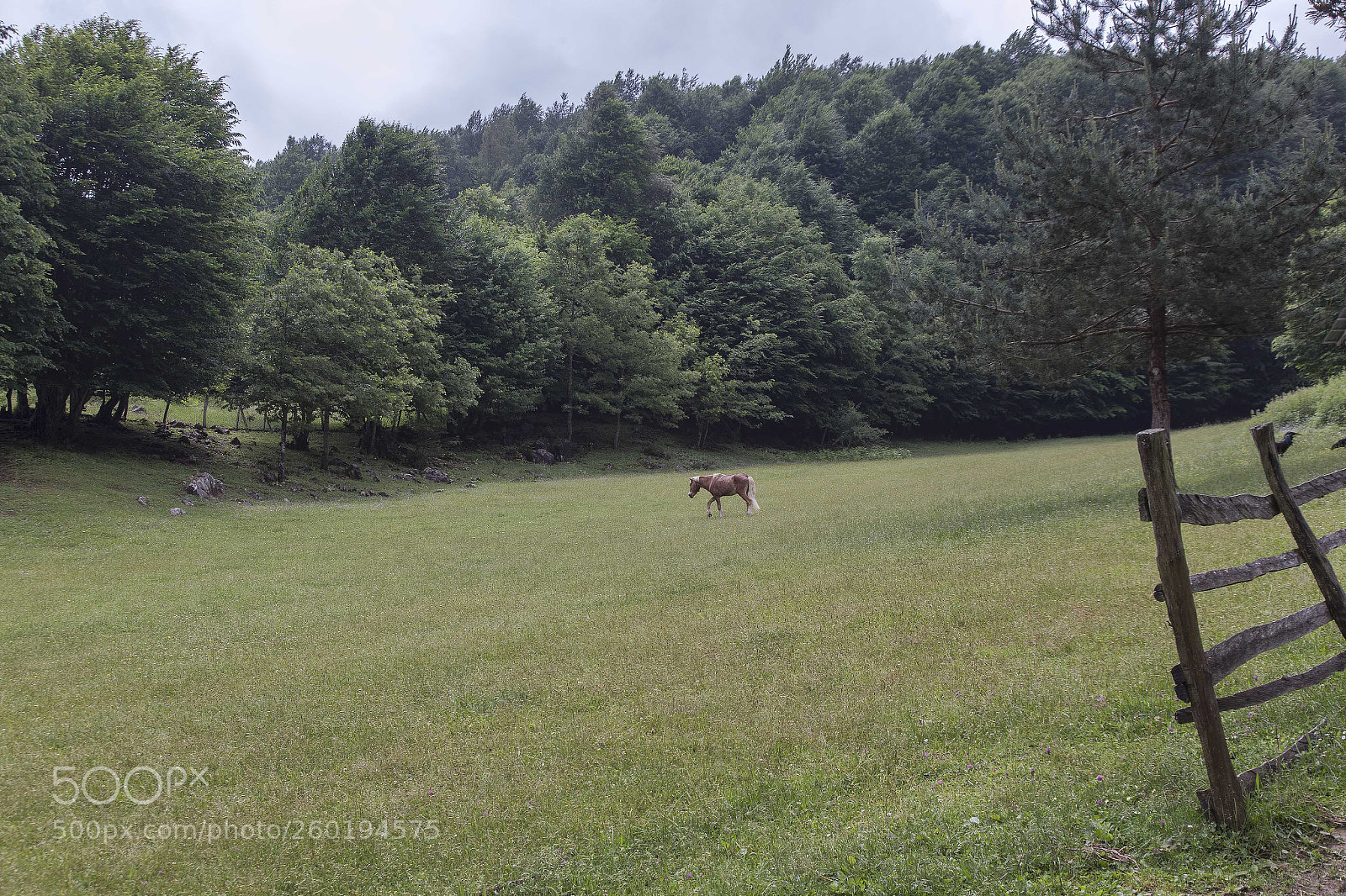 Canon EOS 6D sample photo. Img photography