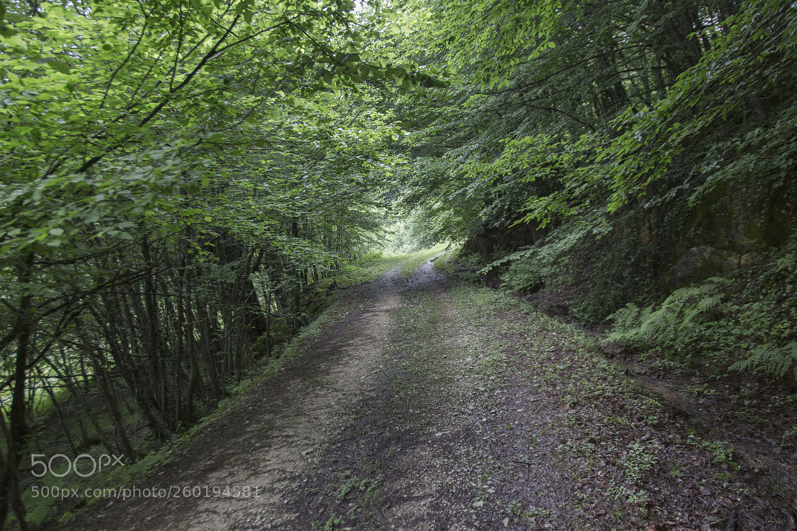 Canon EOS 6D sample photo. Img photography
