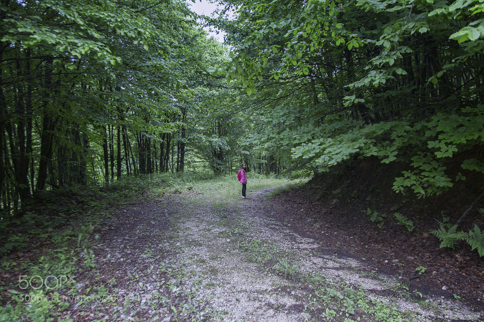 Canon EOS 6D sample photo. Img photography
