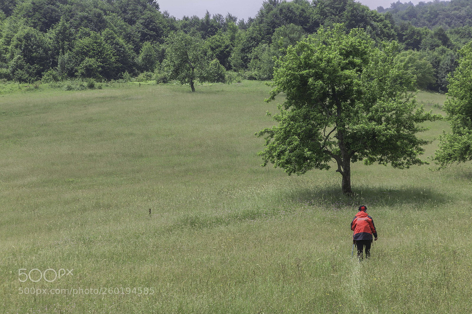 Canon EOS 6D sample photo. Img photography