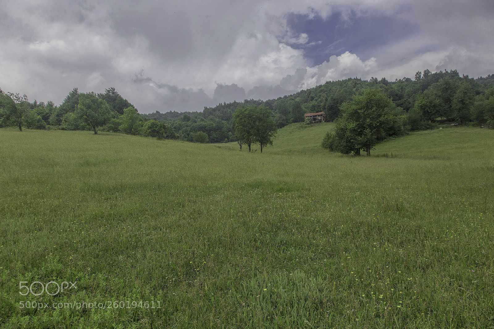 Canon EOS 6D sample photo. Img photography