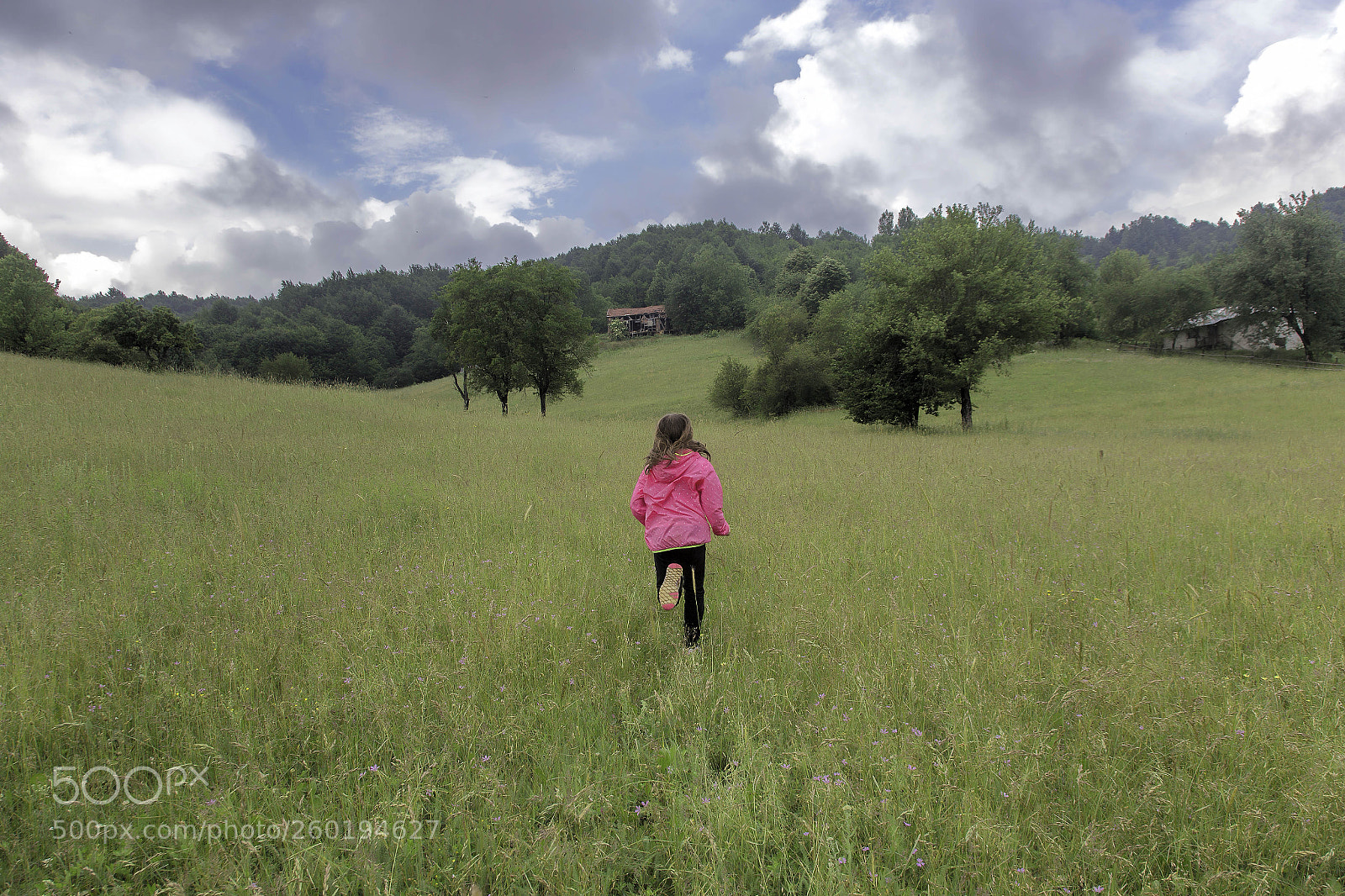 Canon EOS 6D sample photo. Img photography