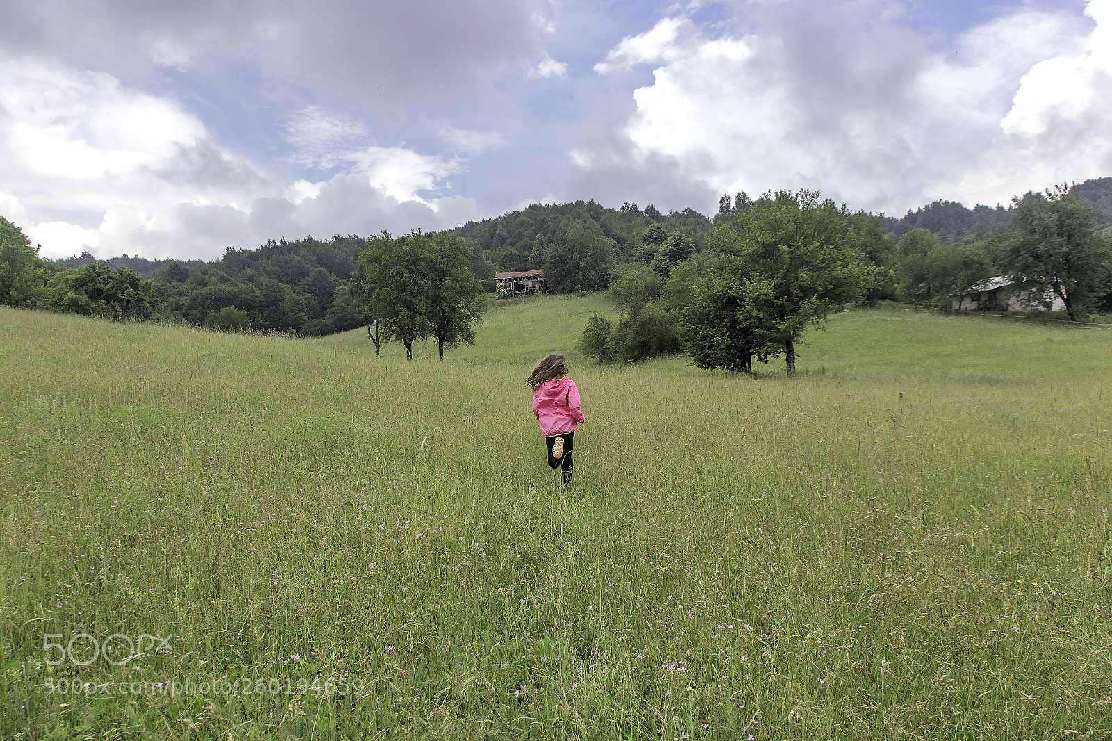 Canon EOS 6D sample photo. Img photography