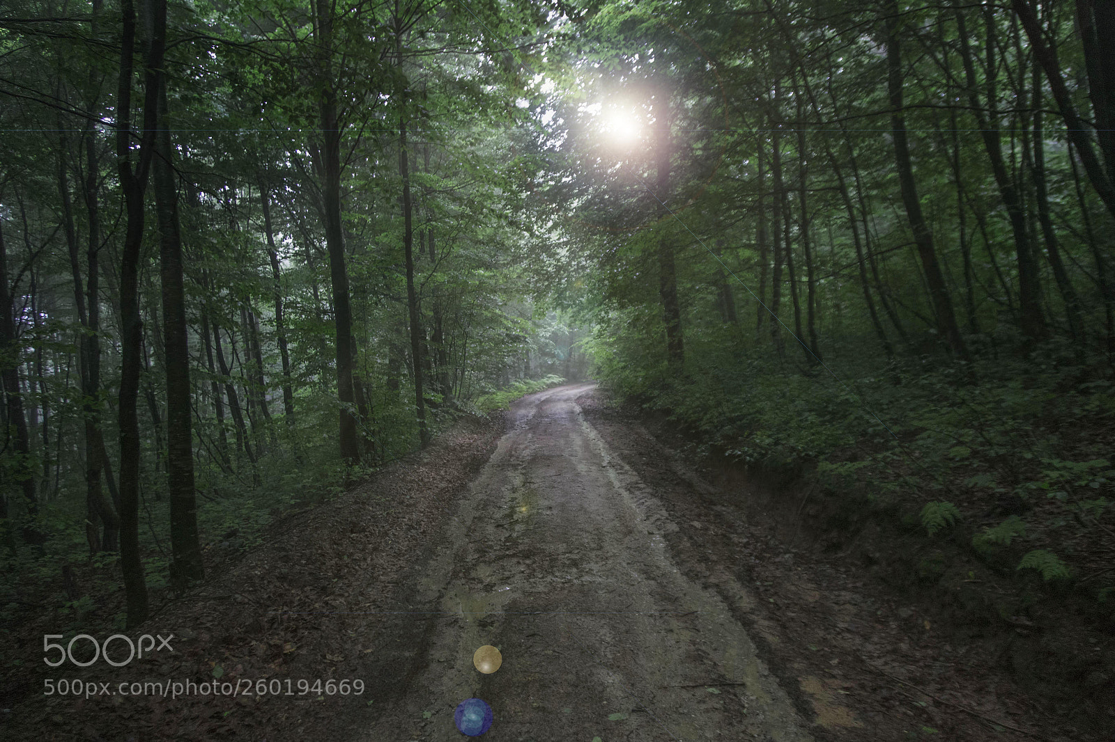 Canon EOS 6D sample photo. Img photography