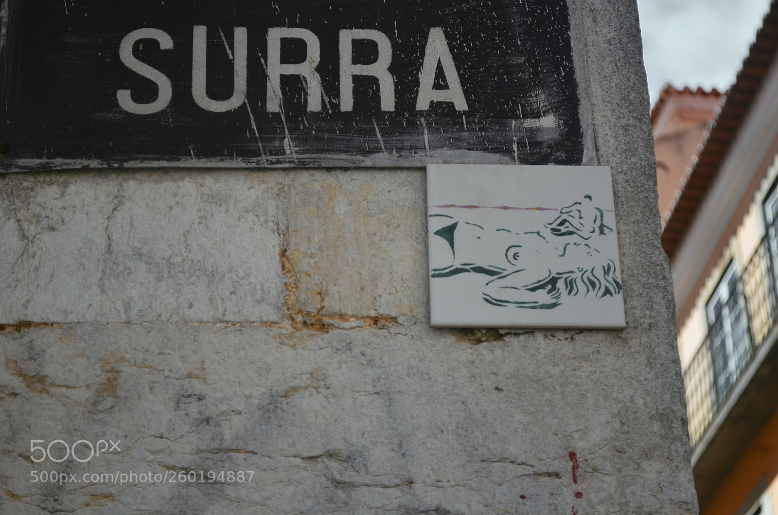 Nikon D5100 sample photo. Untitled photography
