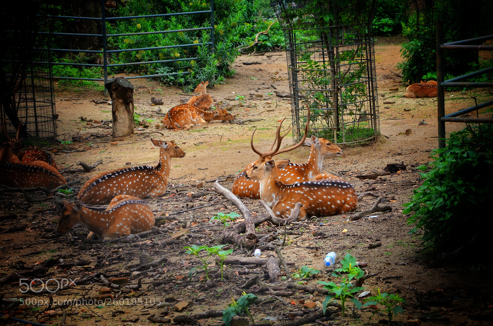 Nikon D7000 sample photo. Untitled photography