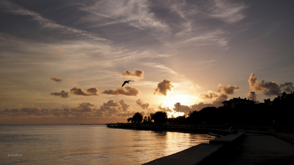 Samsung NX30 sample photo. ... photography