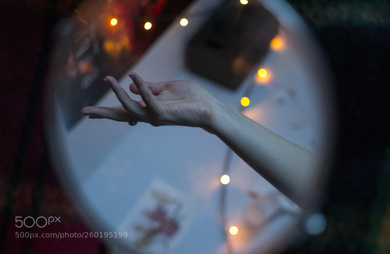 Nikon D3100 sample photo. Arm photography