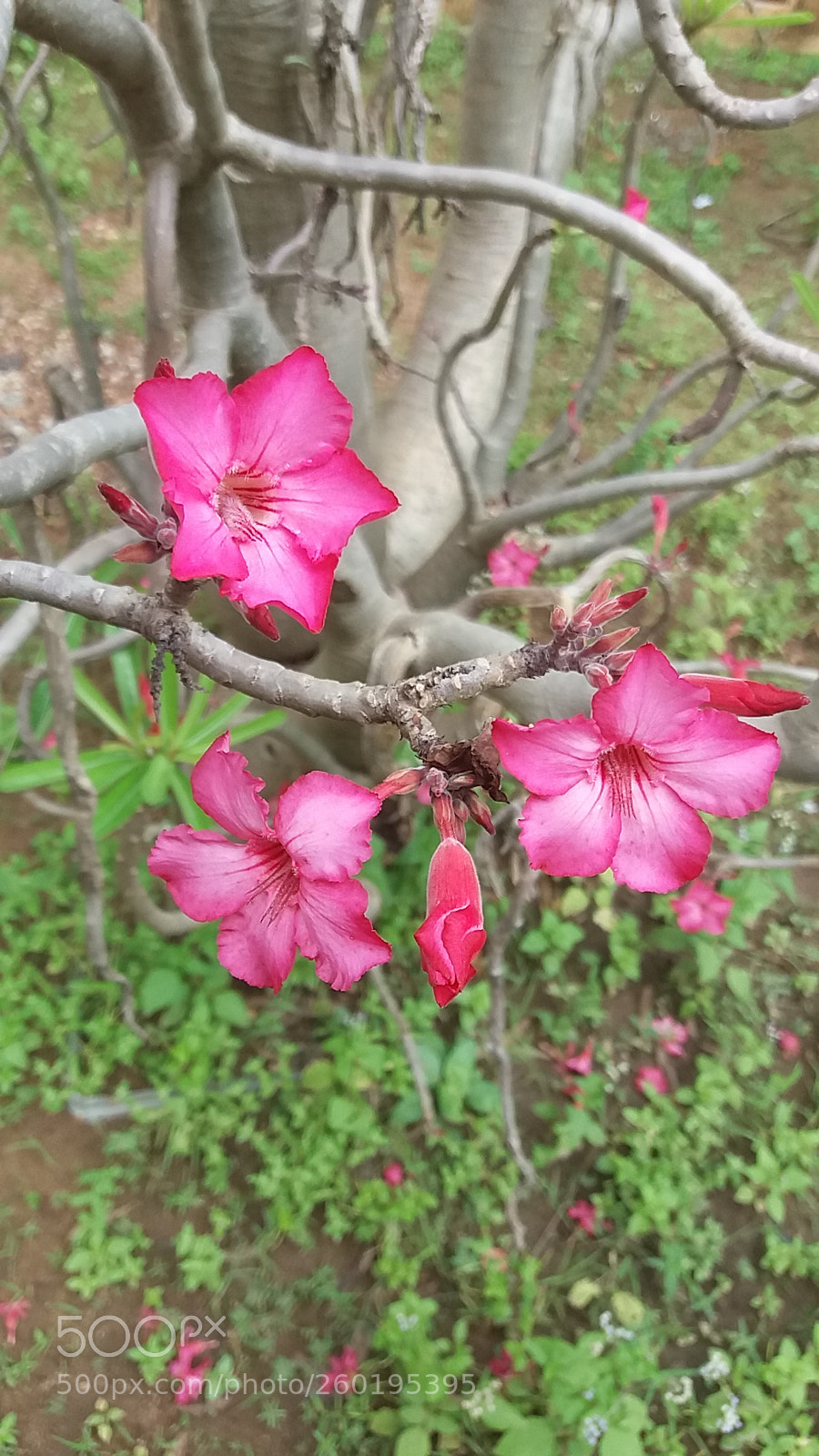 Samsung Galaxy J5 sample photo. Suede look photography