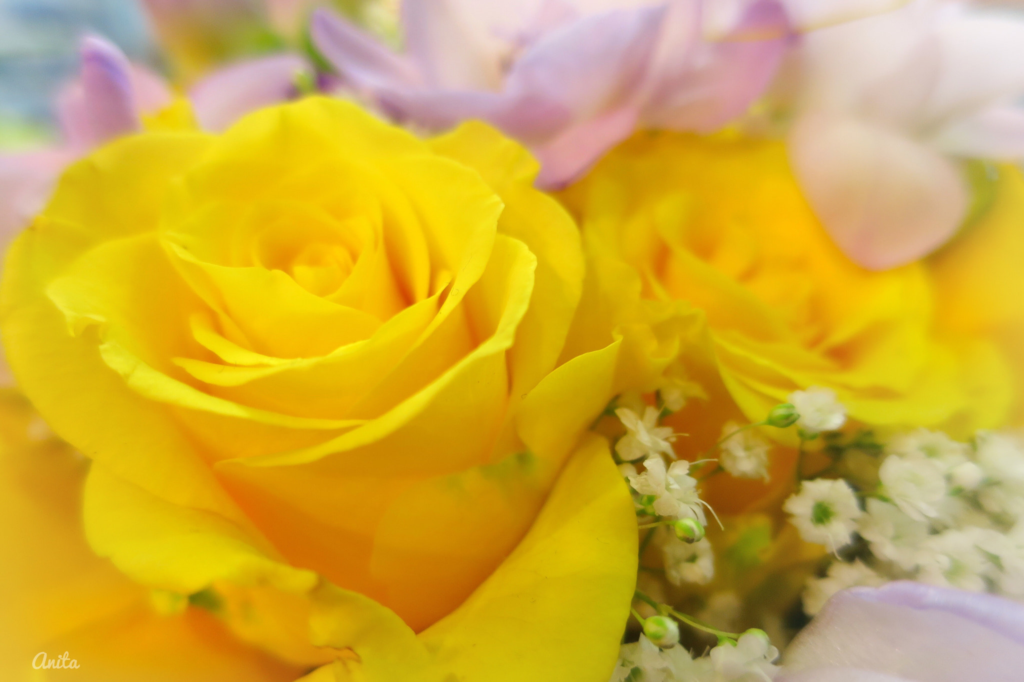 Canon PowerShot S120 sample photo. Flowers are like sunshine photography