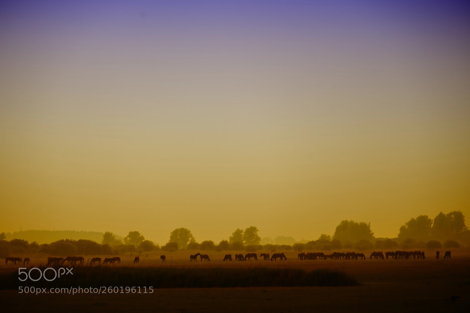 Fujifilm X-H1 sample photo. Dutch landscape photography