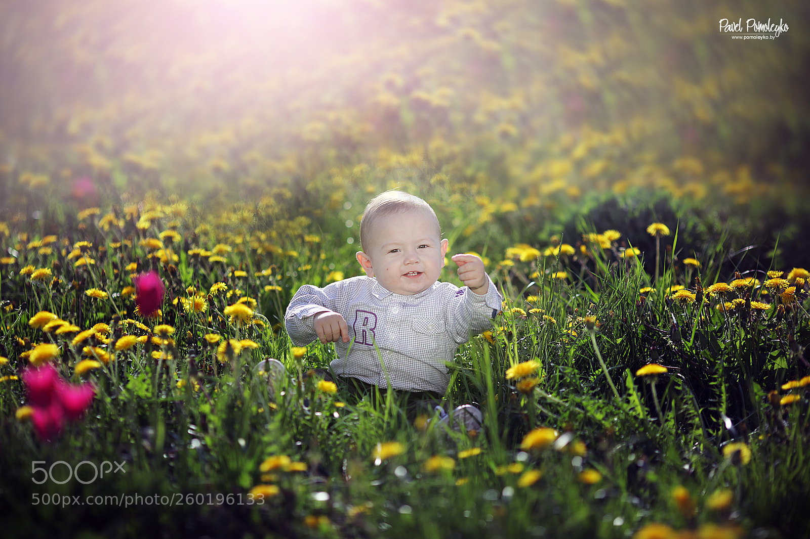 Canon EOS 5D Mark II sample photo. Baby in summer park photography