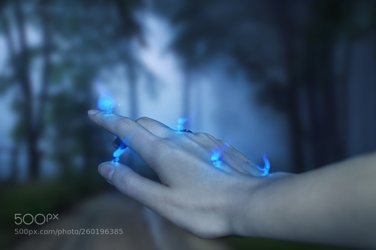 Nikon D3100 sample photo. Lights photography