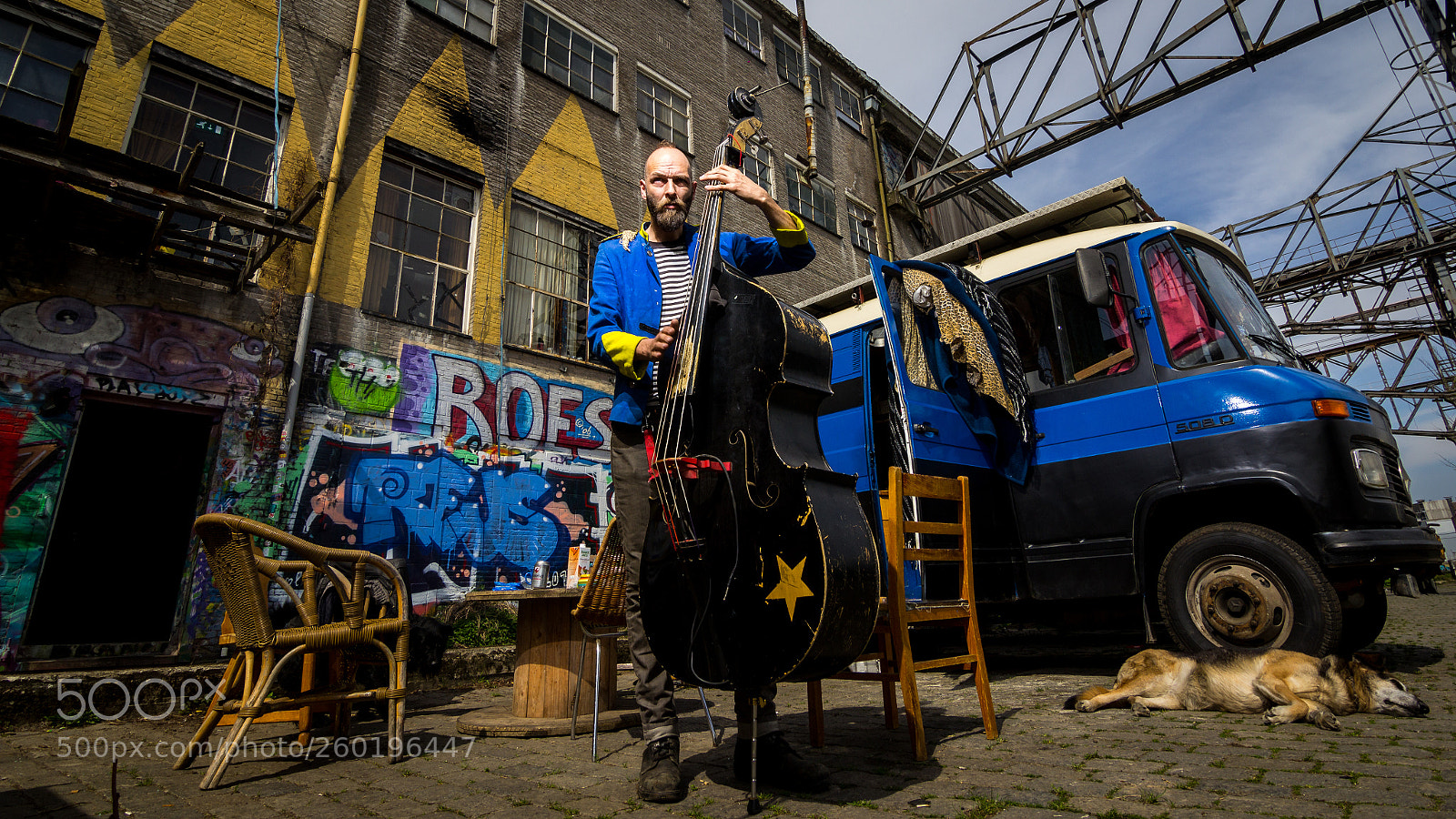 Canon EOS 60D sample photo. The bearded double bass photography