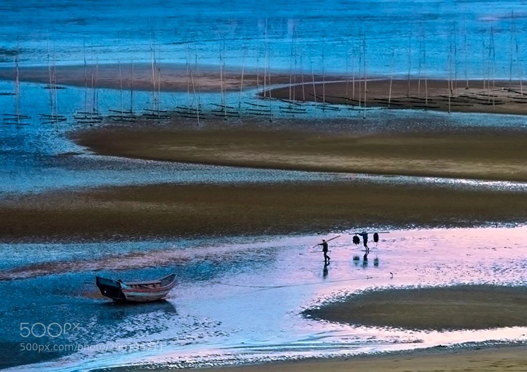 Nikon D200 sample photo. 霞浦滩涂小景 photography