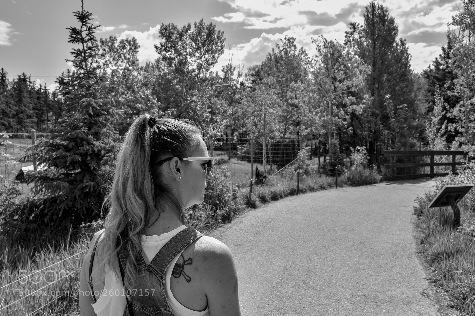 Nikon D7200 sample photo. A hunt for the photography
