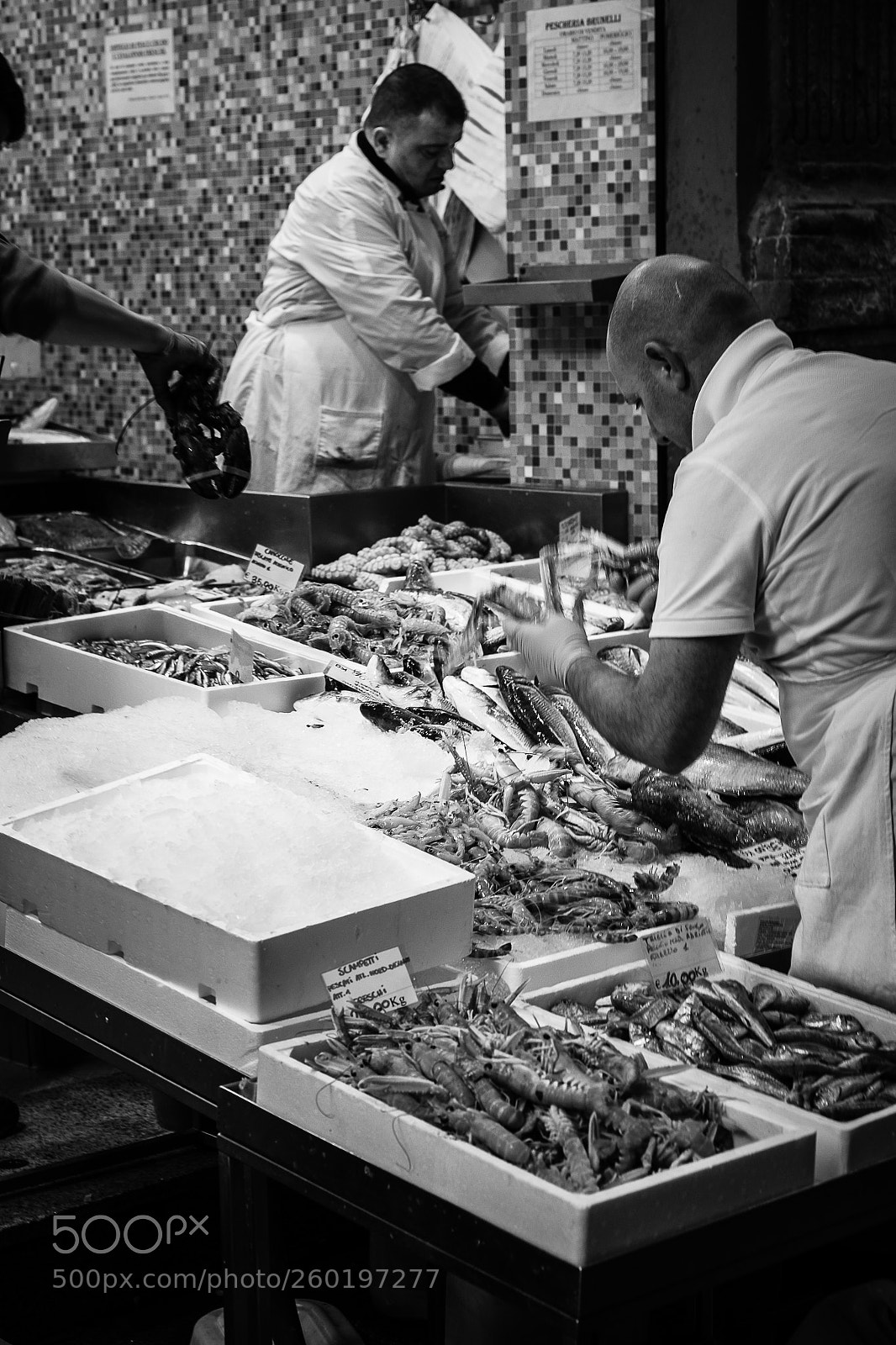 Fujifilm X-T10 sample photo. ... mercato del pesce ... photography